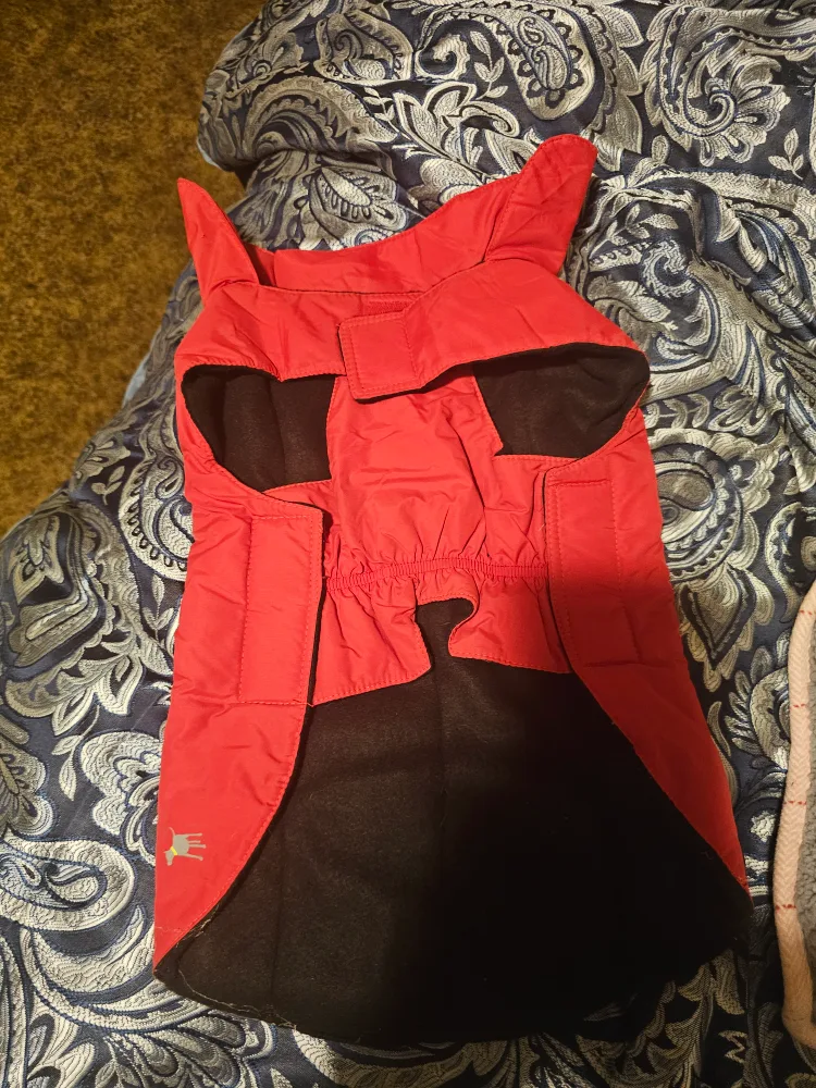 dog items image indicator(6)