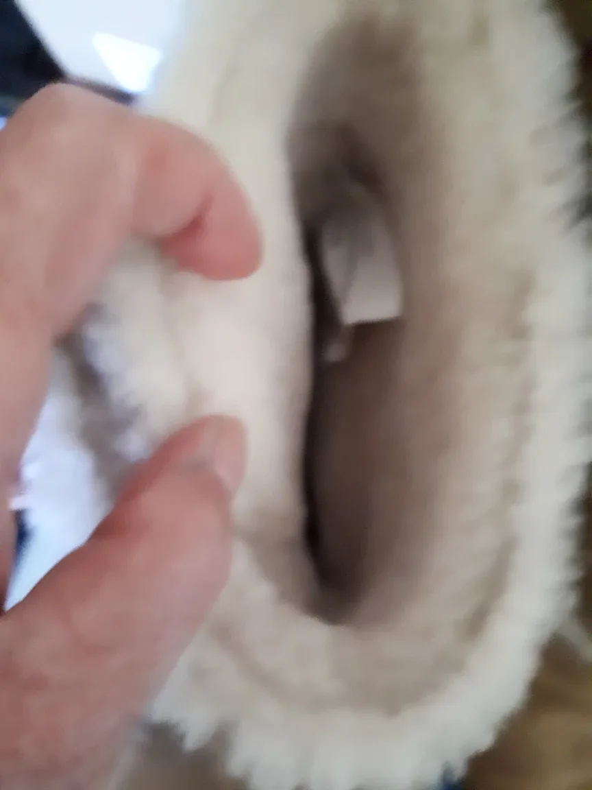 Tory Burch  Boots - Size 8 image indicator(3)