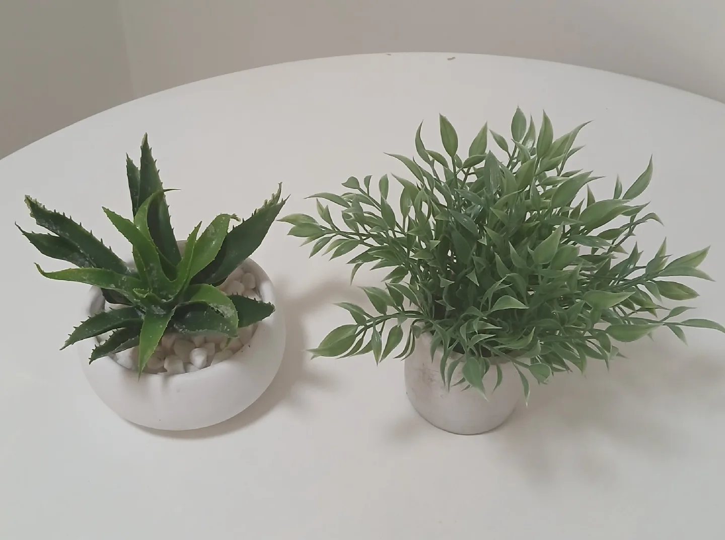 Artificial Aloe & Green Plant Decor thumbnail