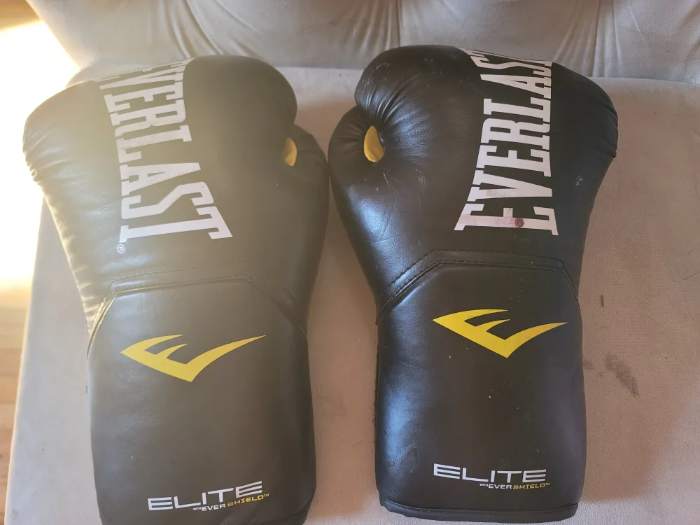 everlast boxing thumbnail