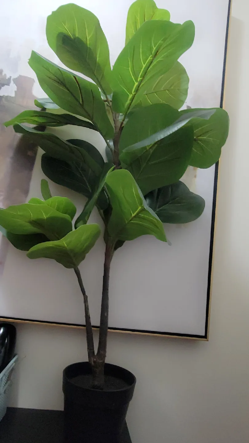 Faux Fiddle Leaf Fig Tree image indicator(2)