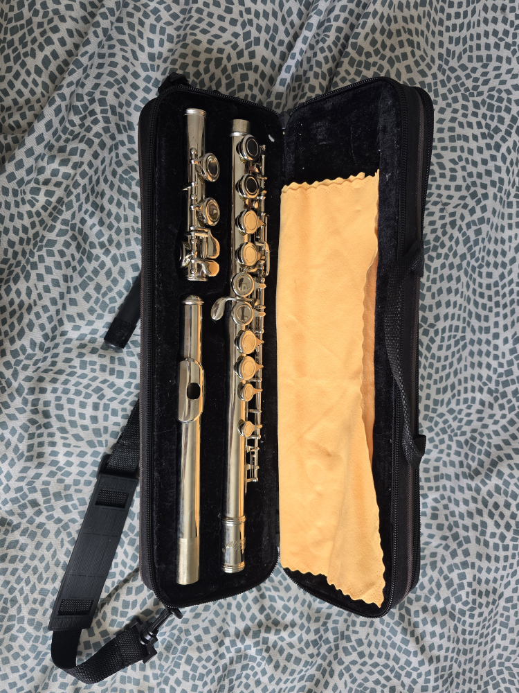 Eastar Silver Flute with Case - photo 2