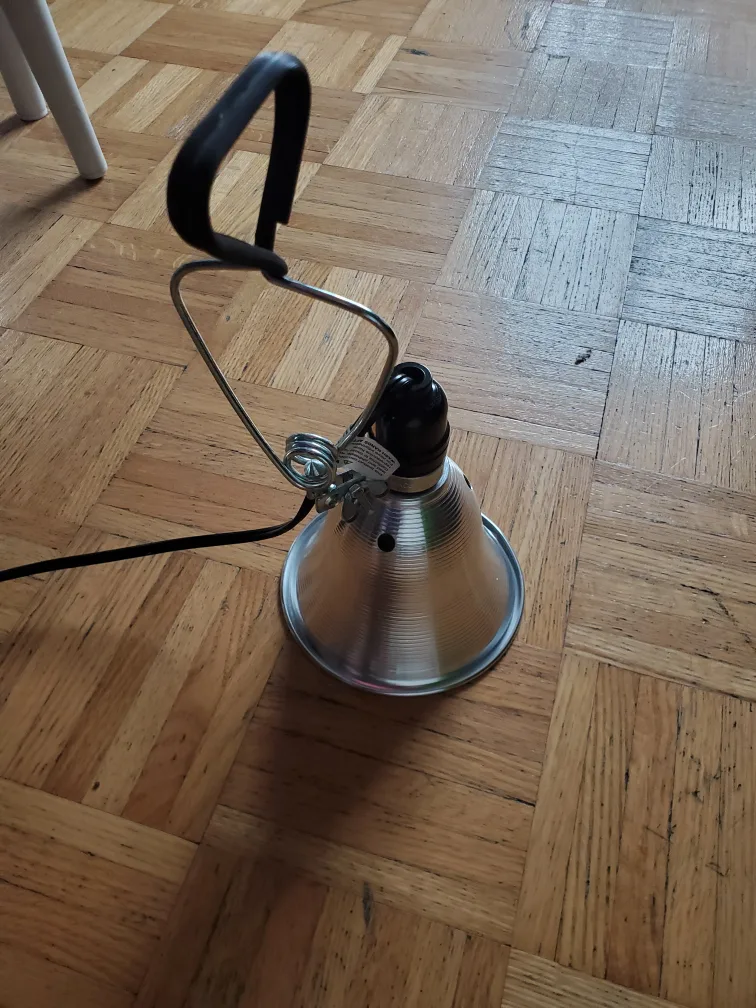 Clamp Lamp image indicator(2)