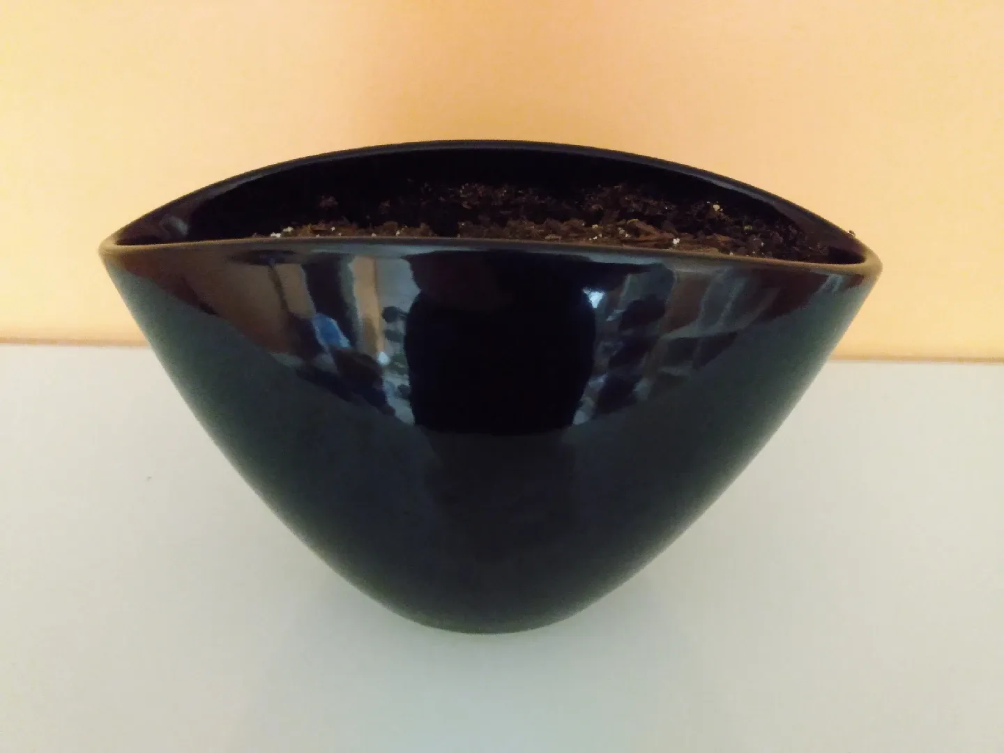 Planter with Soil thumbnail