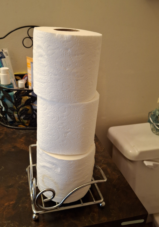 Toilet Paper Holder - Chrome Finish* minor rust*