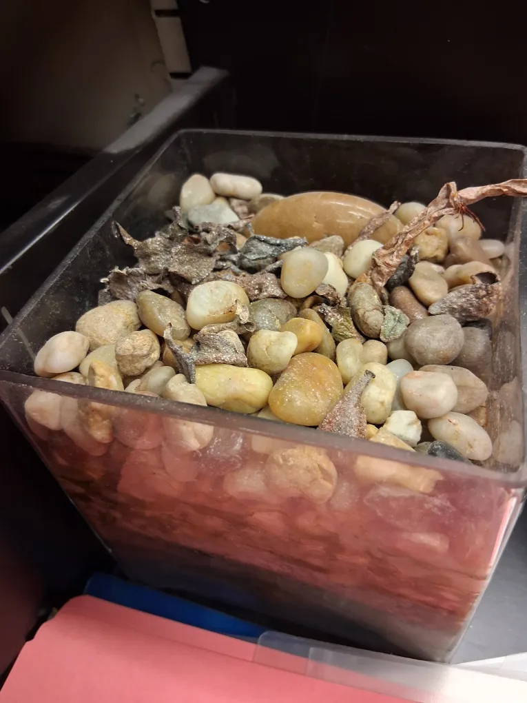 vase with rocks thumbnail