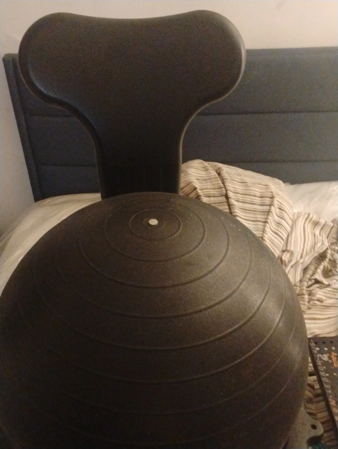 Exercise Ball with Chair Back thumbnail
