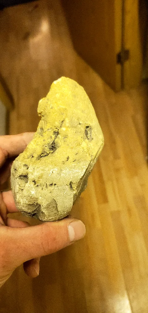 free image indicator(2)