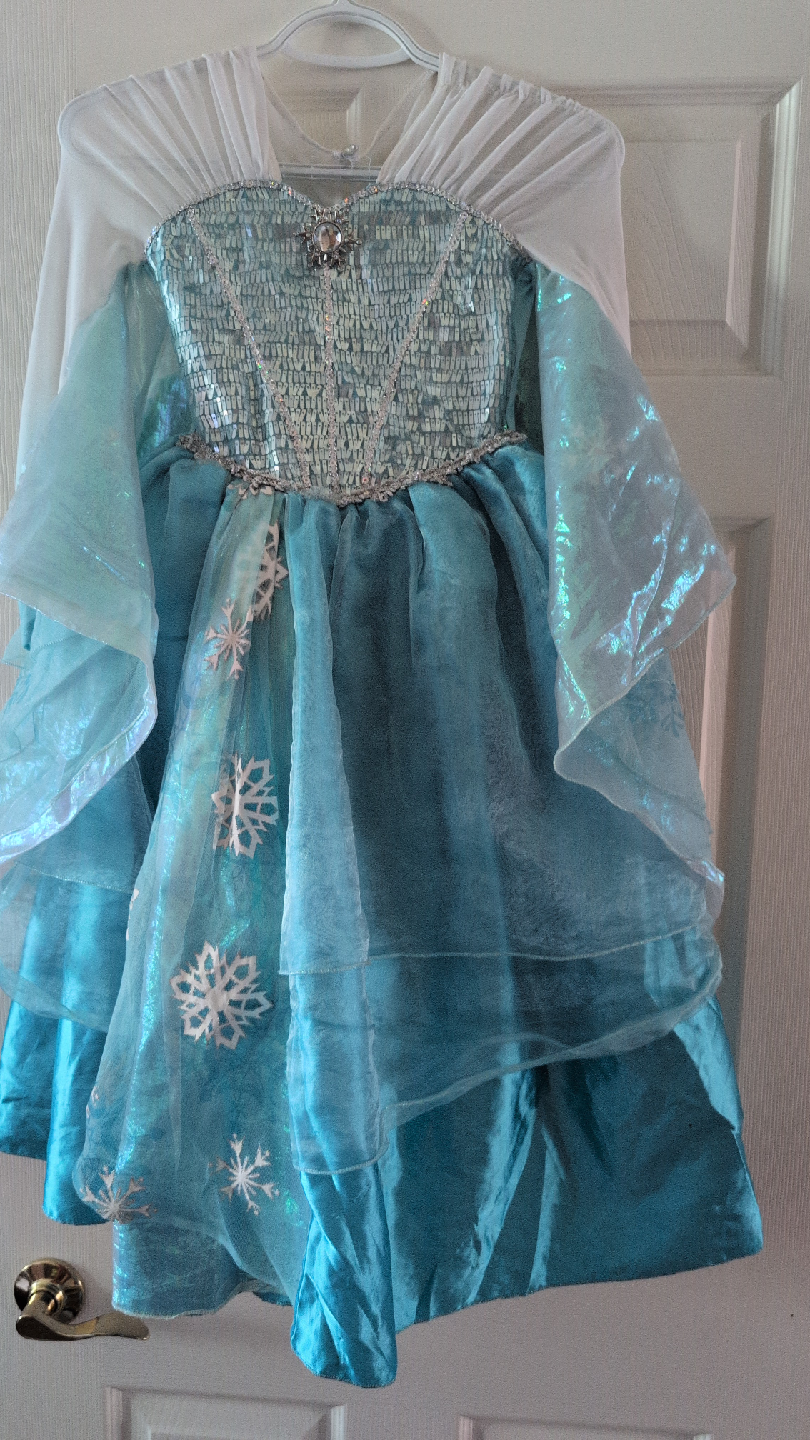 Disney Frozen Elsa Dress Size 5/6