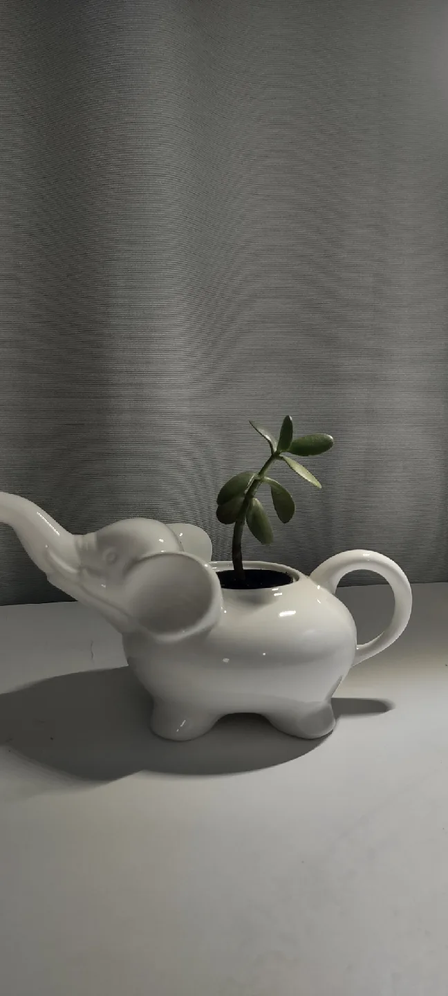 Elephant planter & Jade - Cute Home Decor image indicator(7)