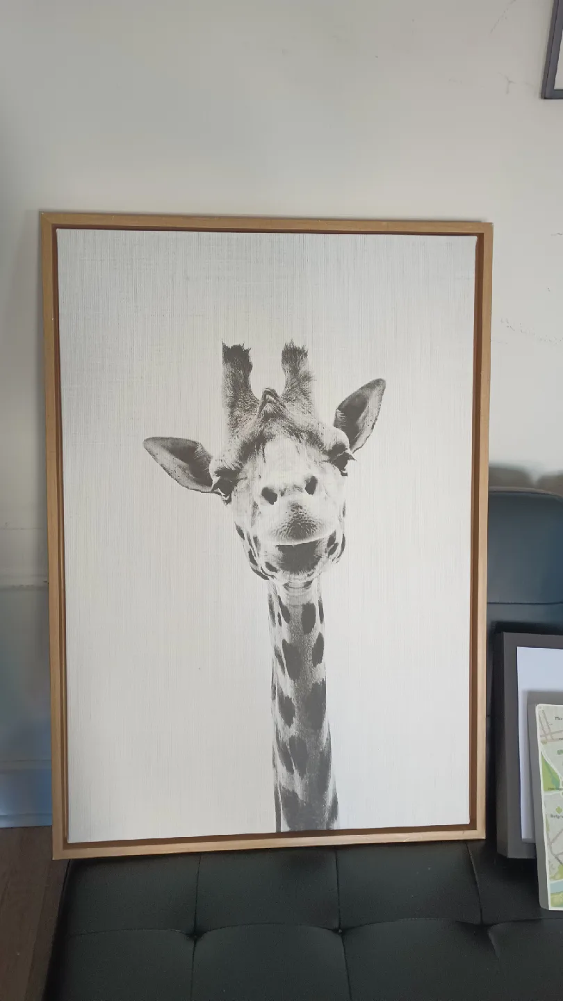 Giraffe Art Black and white (Framed Print) thumbnail
