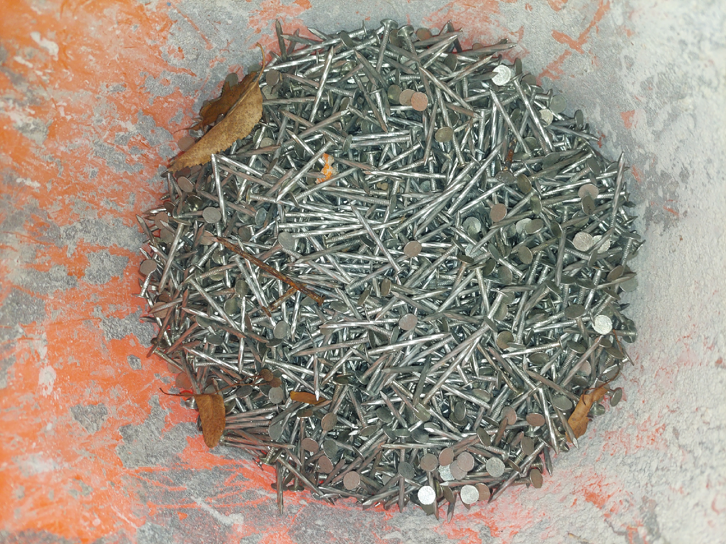 1 & 3/4 inch stainless steel nails - 30lbs