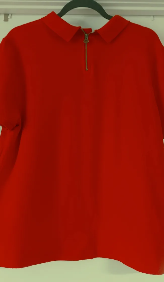 Tommy Hilfiger Red Polo Shirt image indicator(2)