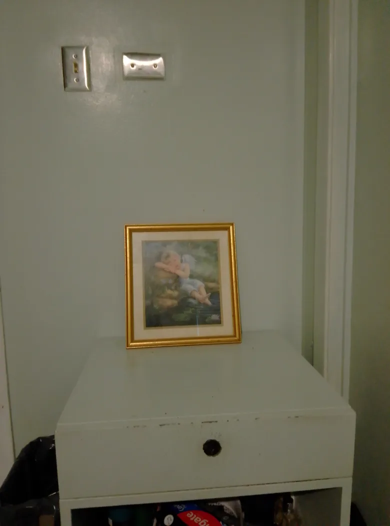 ANGEL by THE STREAM image indicator(7)