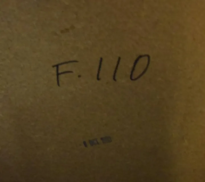 Antique Ornate Framed Mirror image indicator(6)