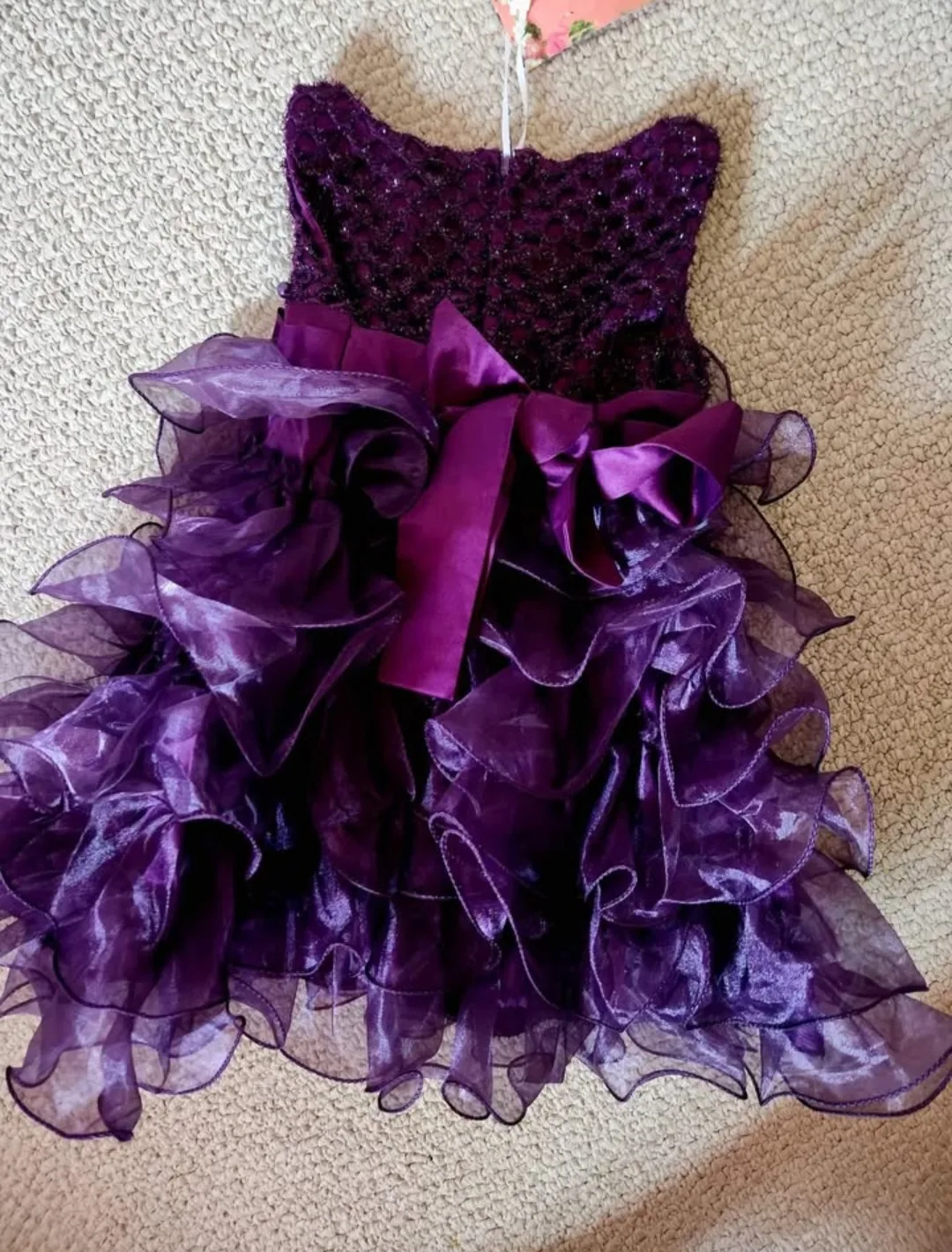 Joye Ella Purple Dress - Size 6-12 months image indicator(4)