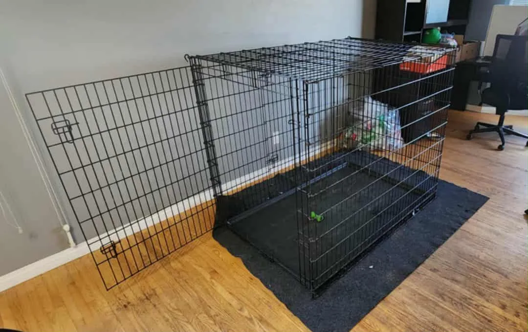 XXL Black Wire Dog Crate 54"l × 43"h x 37" w image indicator(2)