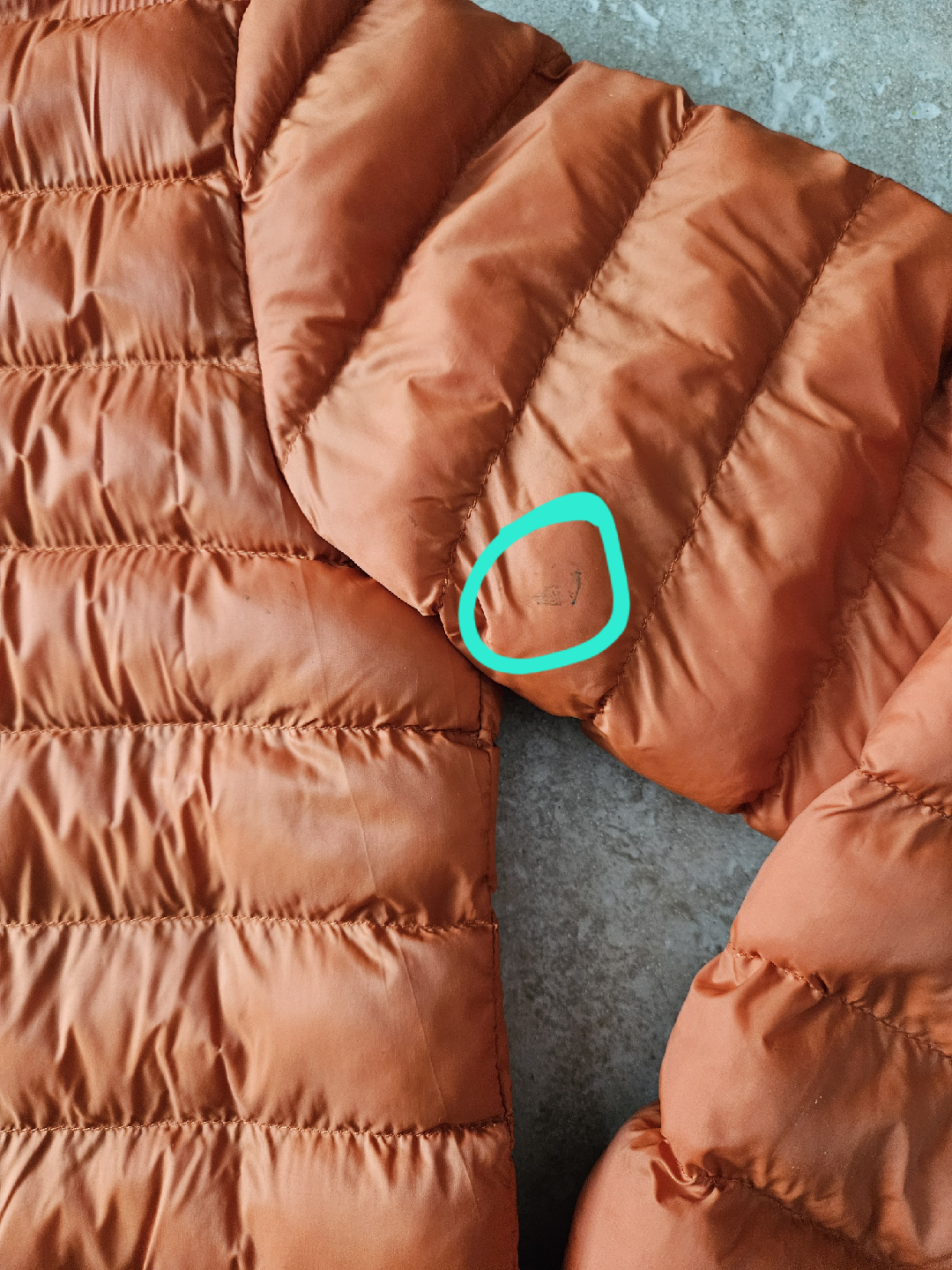 Mountain Warehouse Padded Jacket (Kids 11-12 yrs) - photo 4