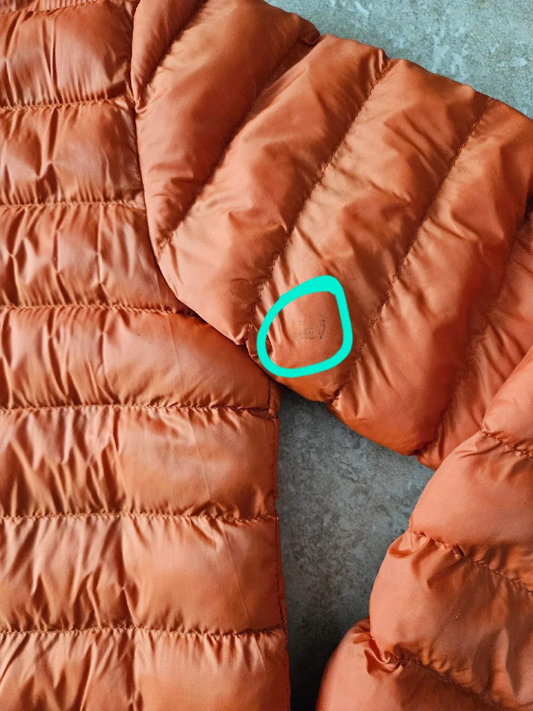 Mountain Warehouse Padded Jacket (Kids 11-12 yrs) image indicator(4)