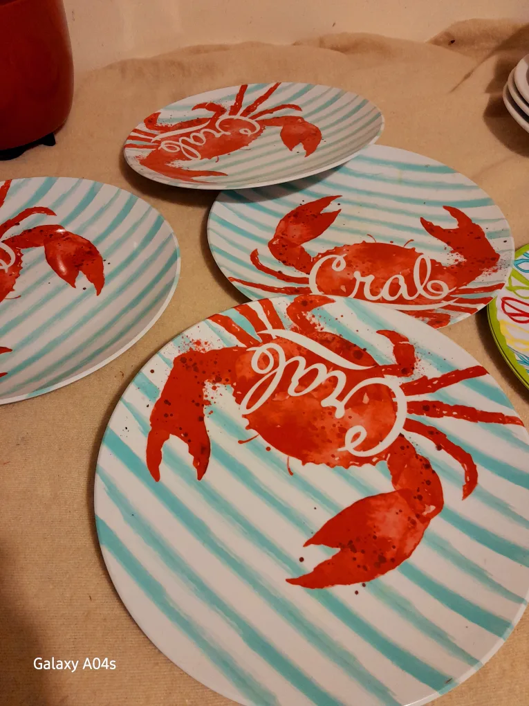 Assorted Decorative Plates,Thrifty Pack of plates🥕 image indicator(2)