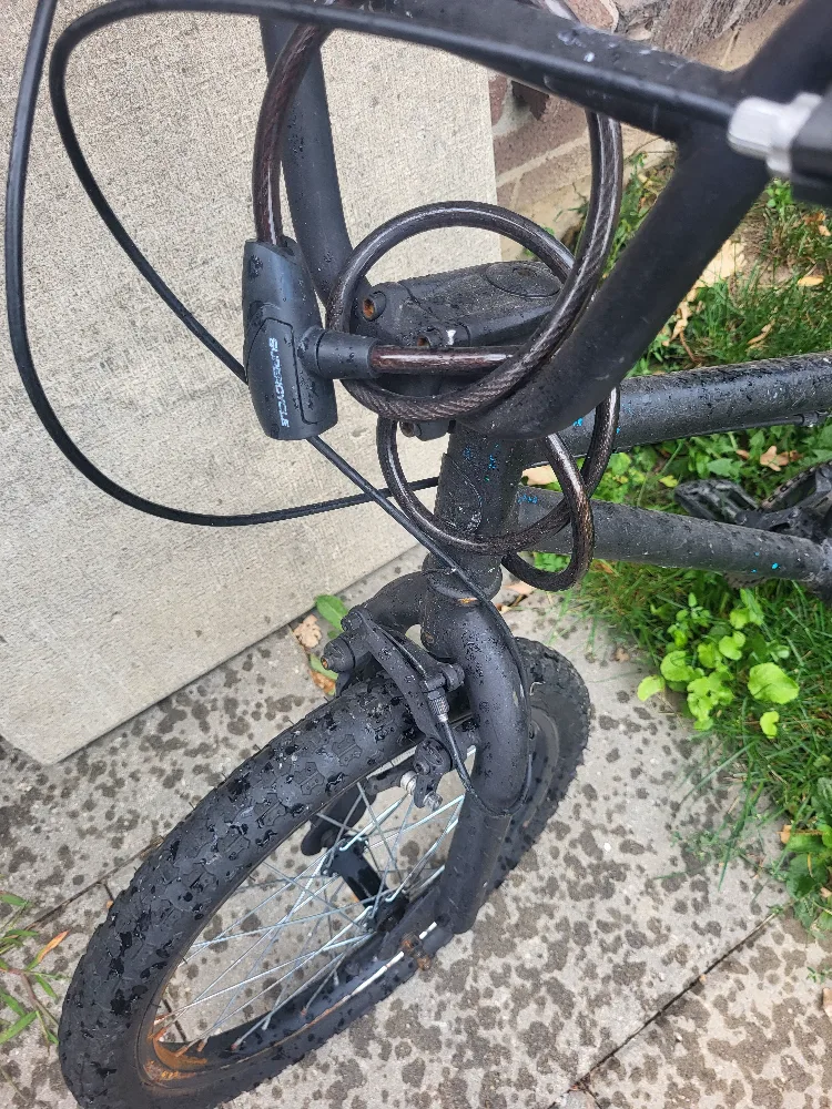 2022 bmx kids bike image indicator(2)