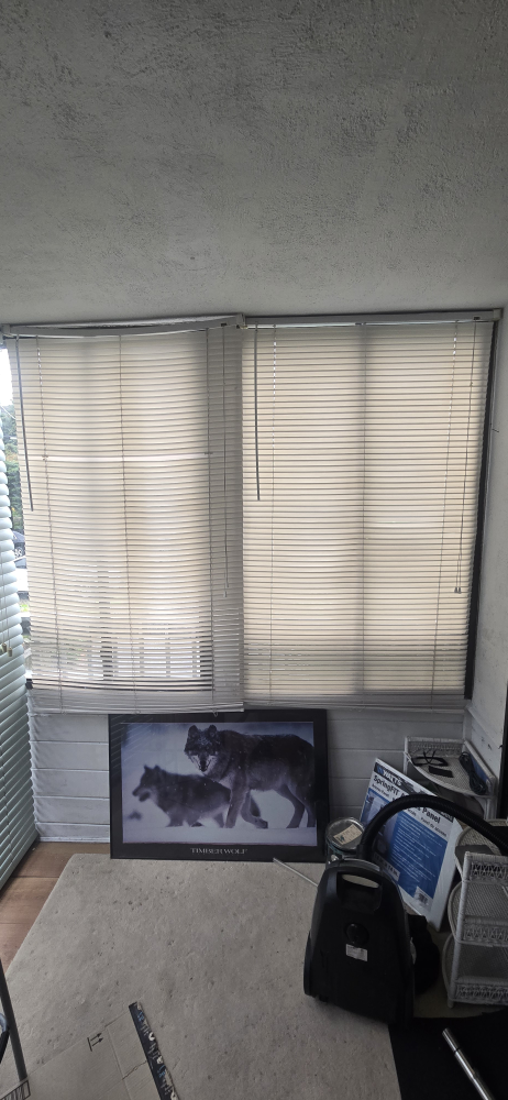 White Vinyl Window Blinds