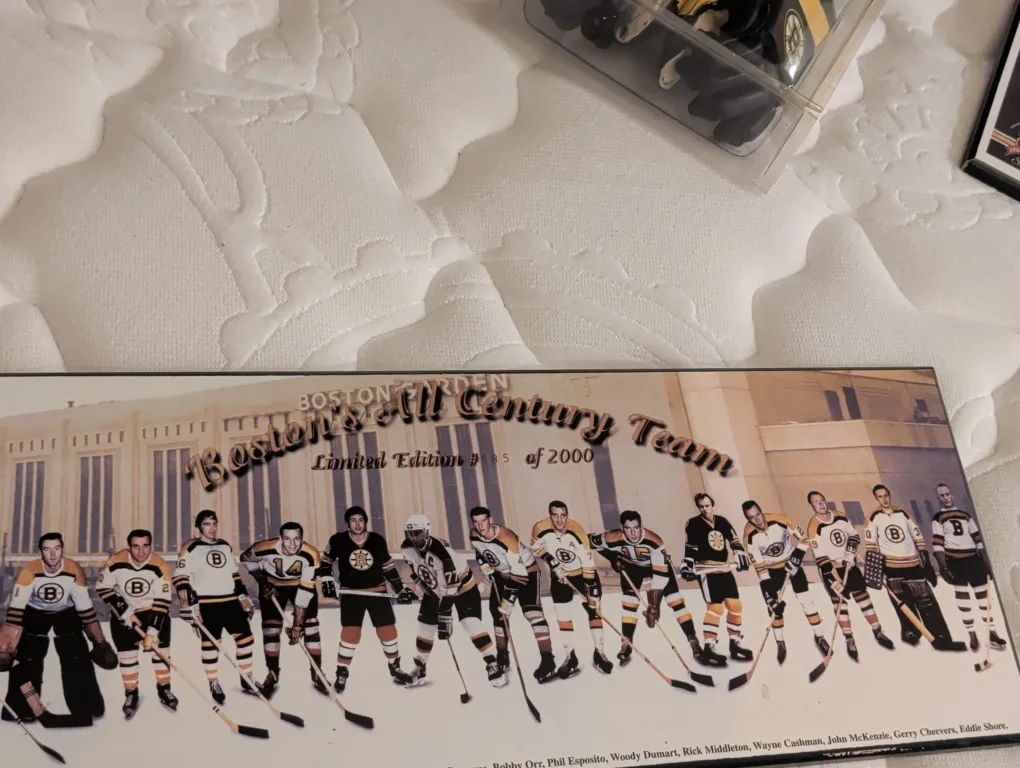 Boston Bruins All Century Team Limited Edition image indicator(2)
