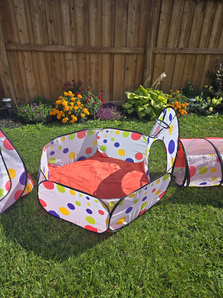 Kinden Kids Play Tent with Tunnel & Ball Pit - photo 3