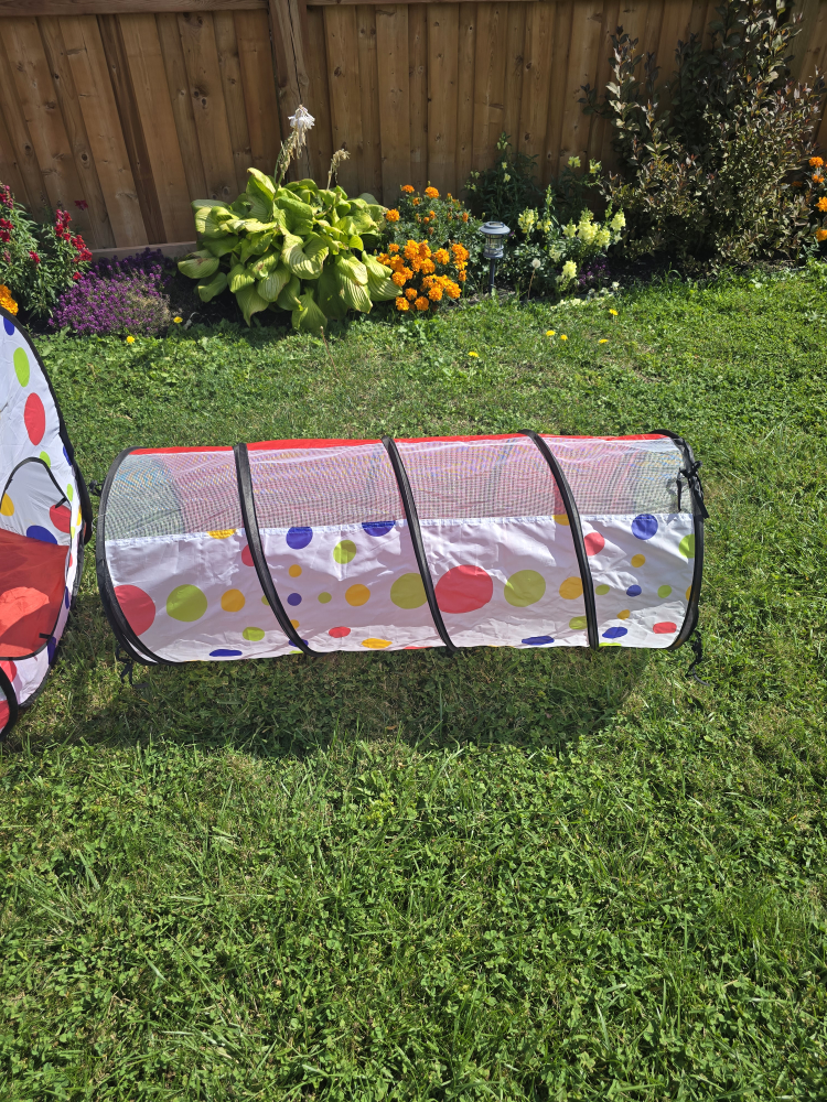 Kinden Kids Play Tent with Tunnel & Ball Pit - photo 4