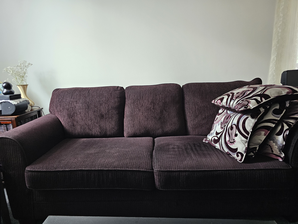 COUCH & SOFA! BOTH for $280