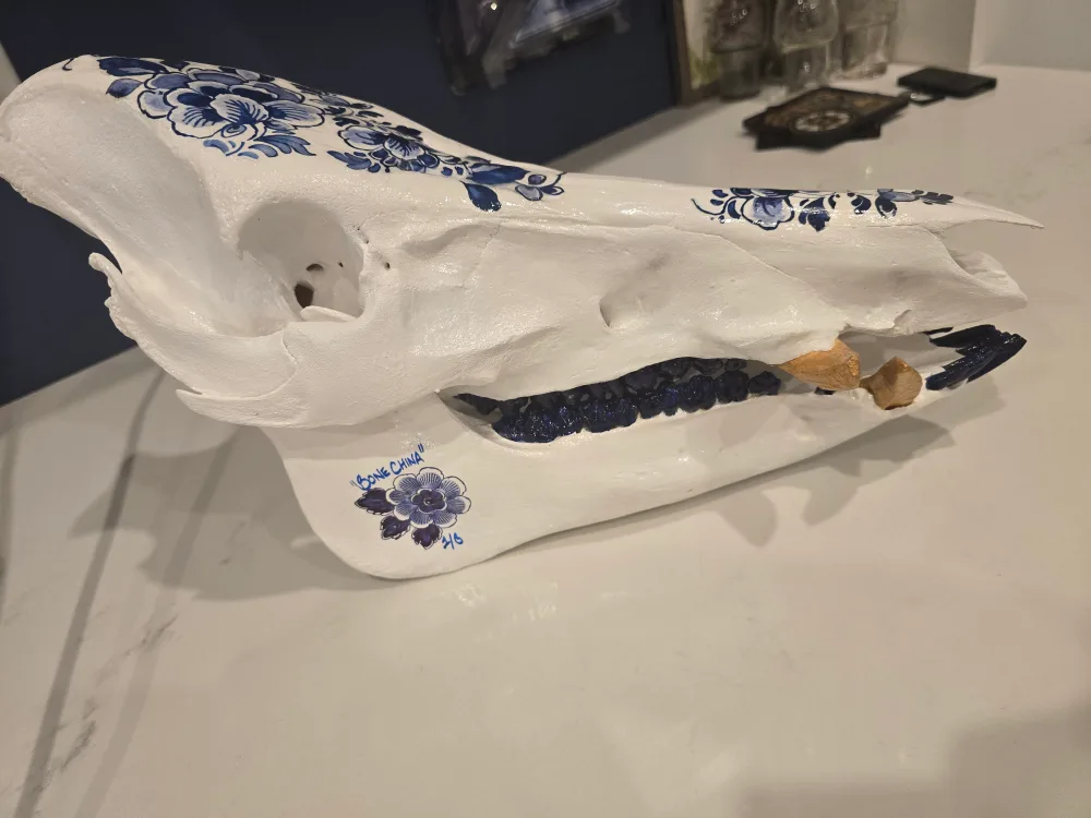 GRADE A/CRAFT GRADE German Wild Boar Skull - Delft Blue Style image indicator(4)