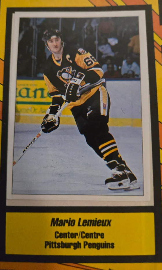 1990-91 Panini Hockey Sticker Albums Plus. image indicator(5)