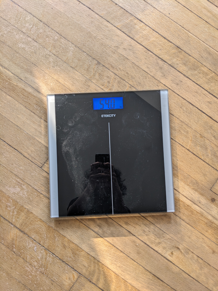 Digital Body Weight Scale
