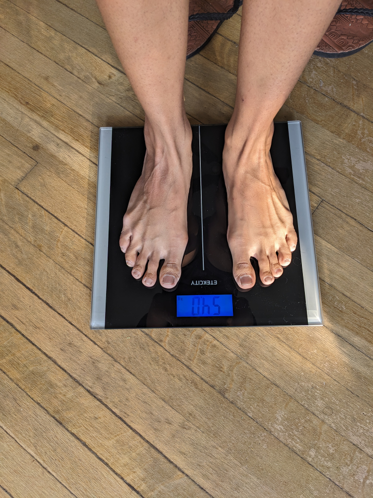 Digital Body Weight Scale - photo 2