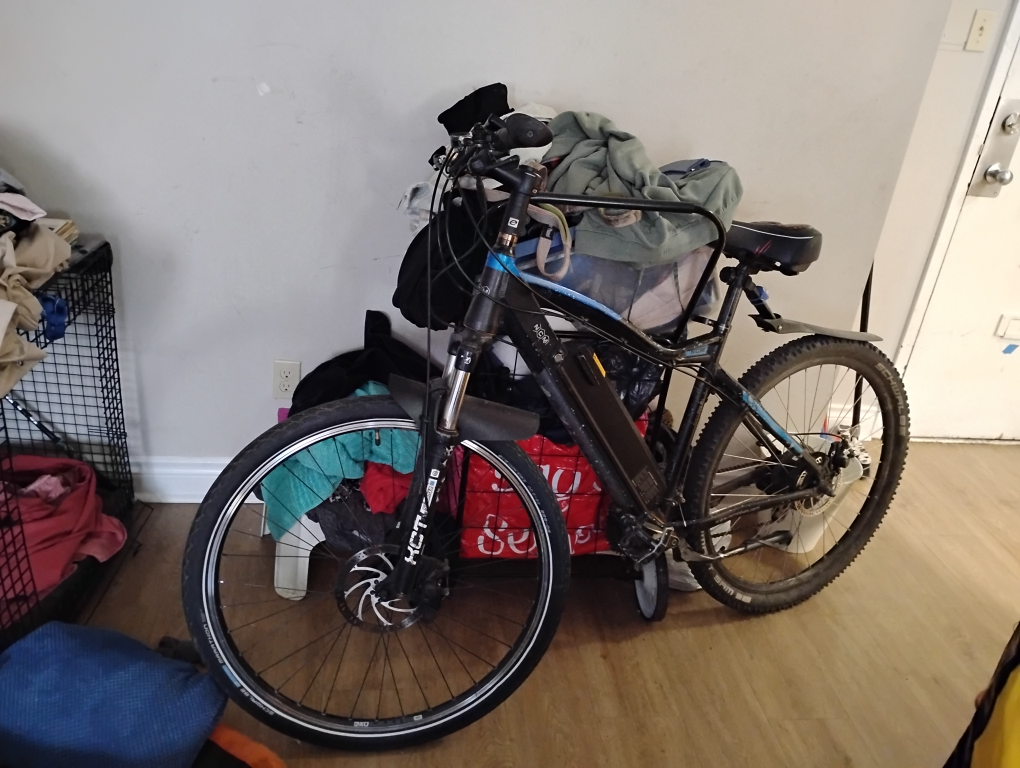 Black Electric Mountain Bike