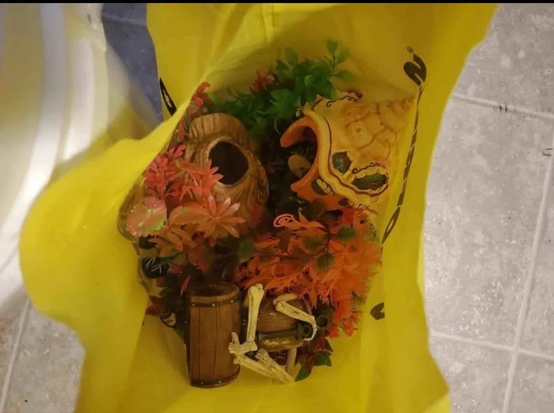 55 gallon fish Tank with Accessories image indicator(4)