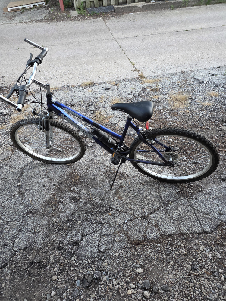 Versa Ladies Mountain Bike - Blue