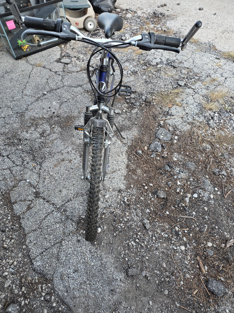 Versa Ladies Mountain Bike - Blue - photo 3