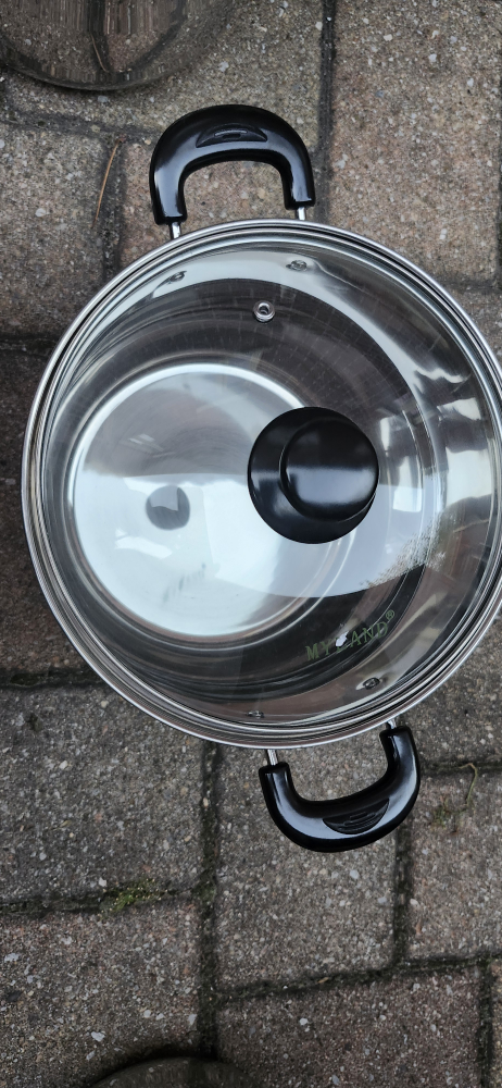 Myland Stainless Steel Stock Pot with Lid, 22 cm dia