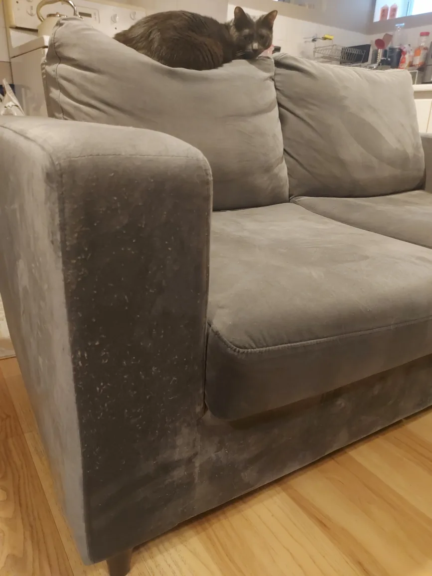 Grey Loveseat Sofa image indicator(3)