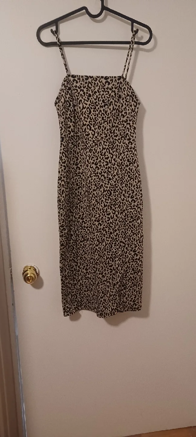 Leopard Print Mini Dress thumbnail