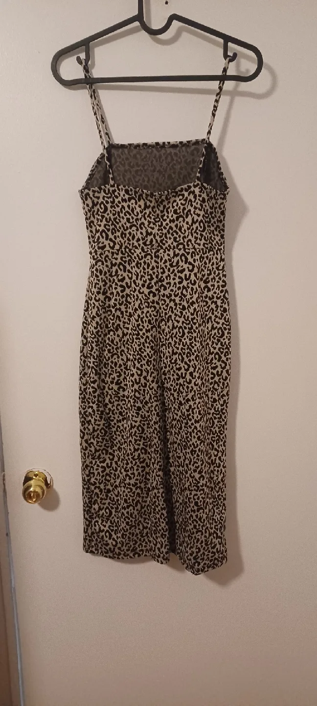 Leopard Print Mini Dress image indicator(2)