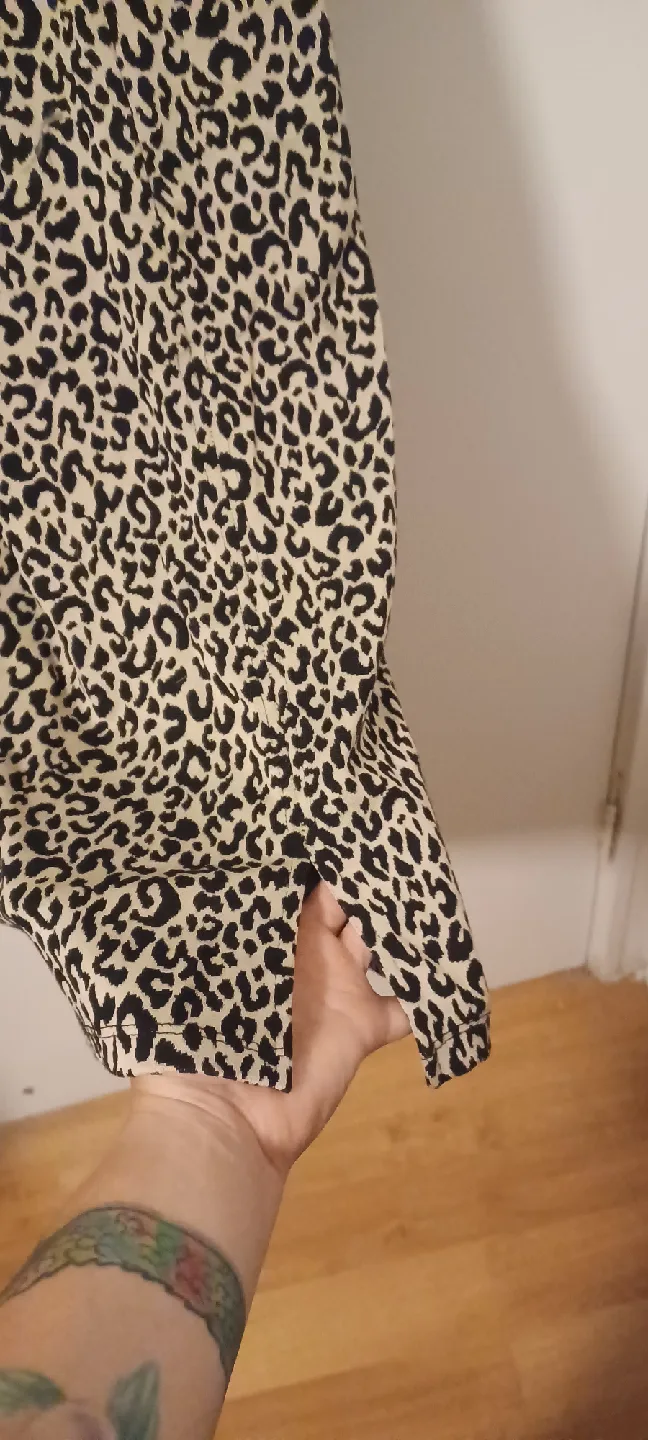 Leopard Print Mini Dress image indicator(3)