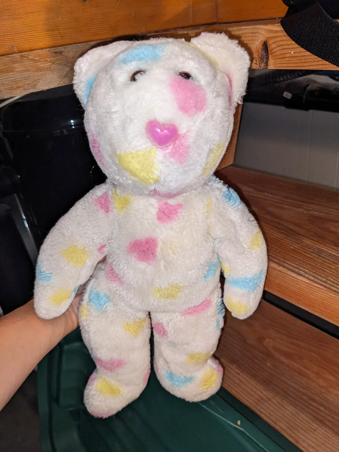 Attic time capsule image indicator(6)