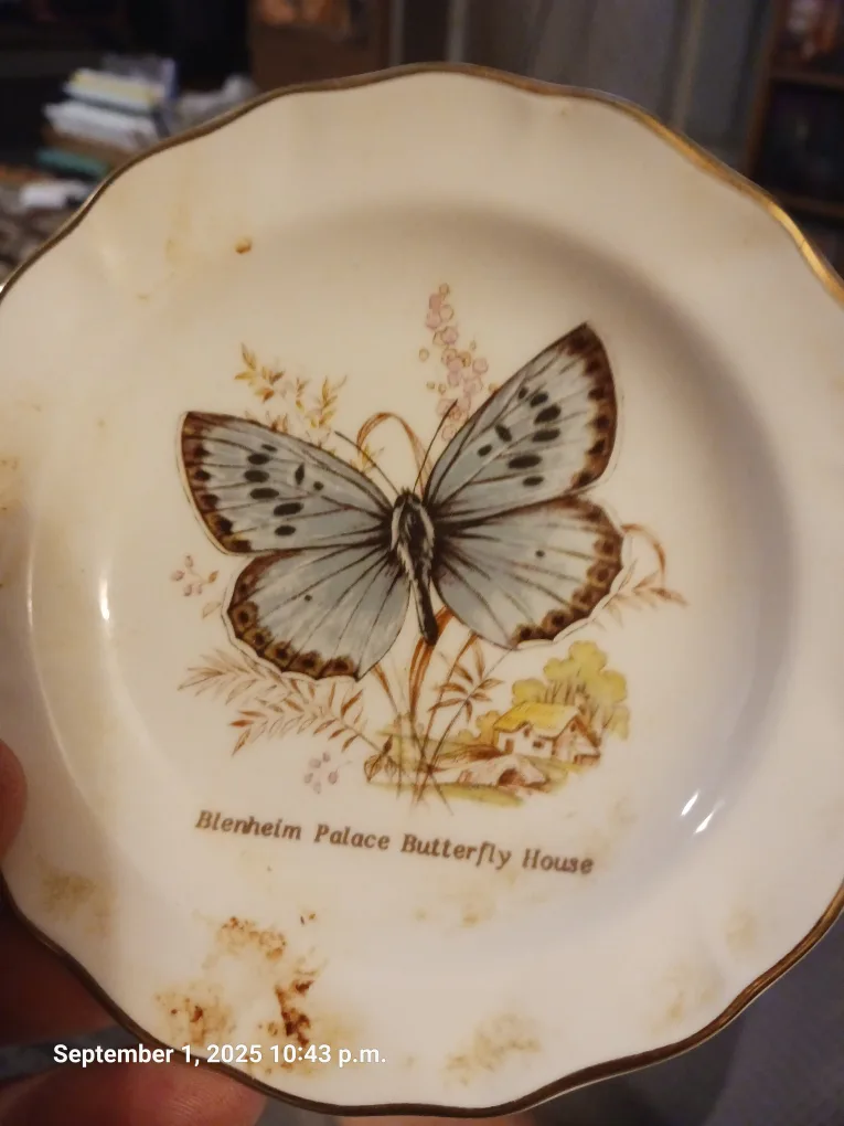 Vintage Rosina & Ridgway Saucer Plates image indicator(3)