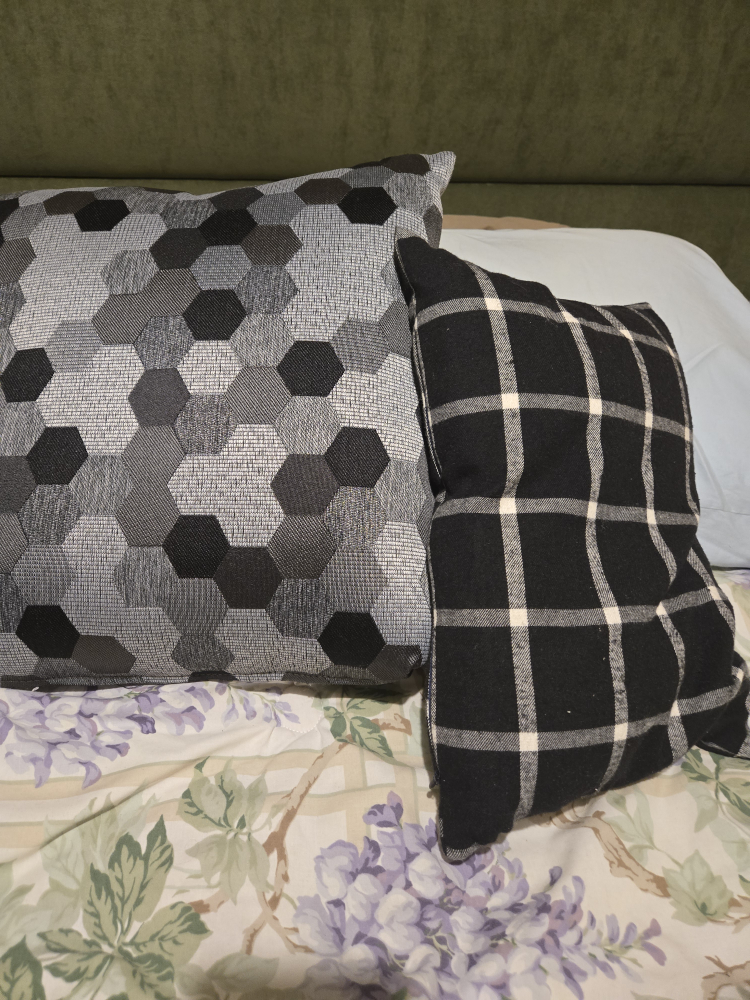 🥕  FREE ITEM   Decorative Pillows - Grey Hexagon & Black Plaid - photo 2