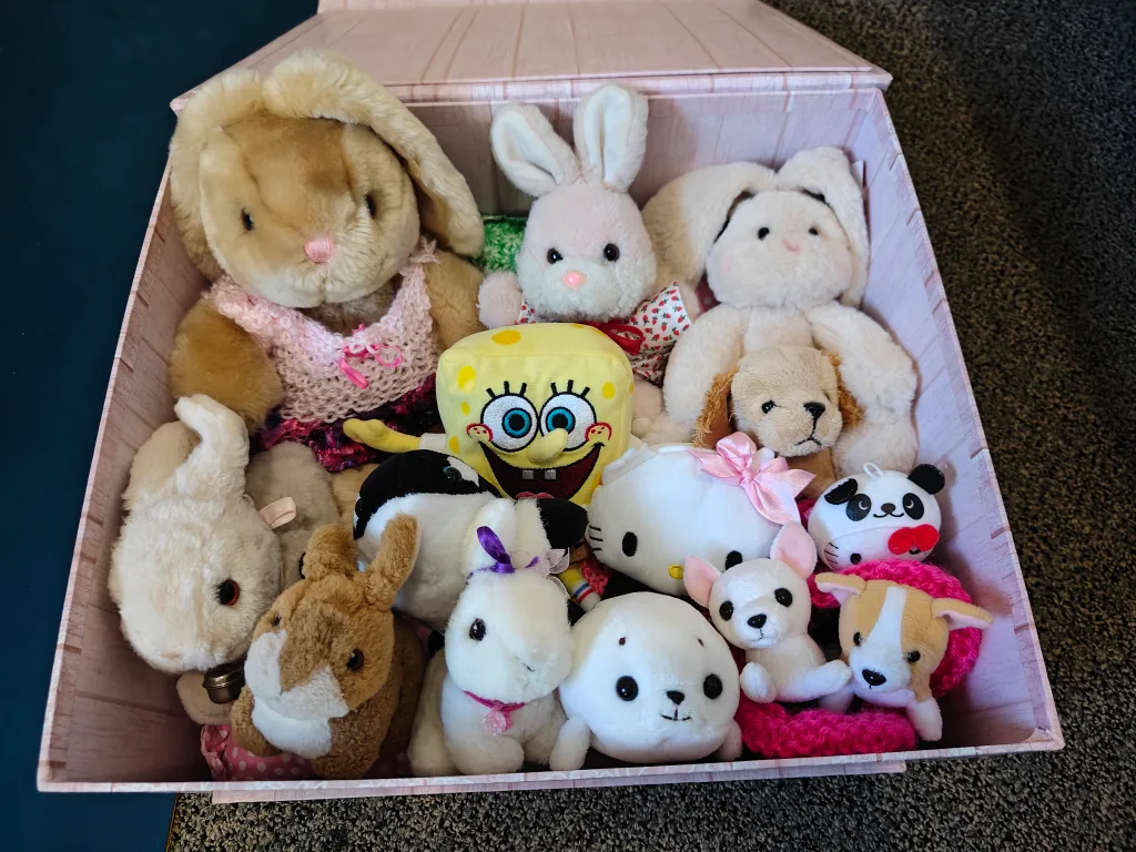 Kawaii Plush Toy Bundle with Pink Box Included 💖🧡 image indicator(2)