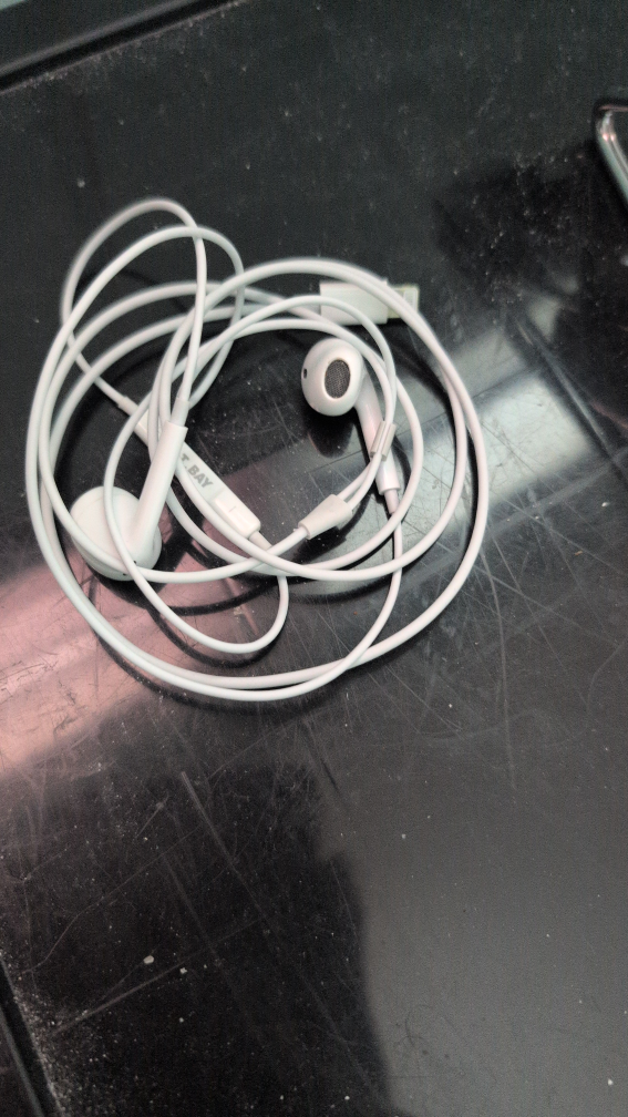 T.Bay Wired Earbuds FREE!