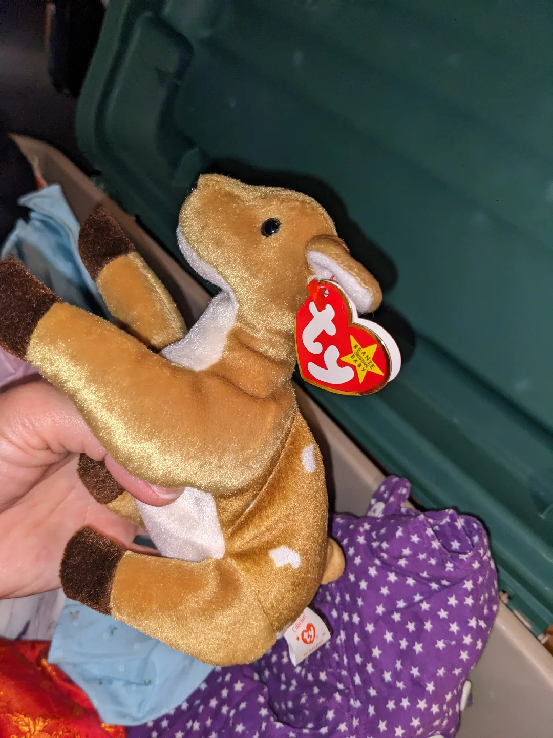 Attic time capsule image indicator(8)