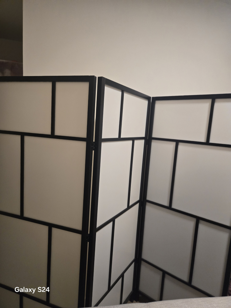 Room Divider Screen, Black Frame - photo 2